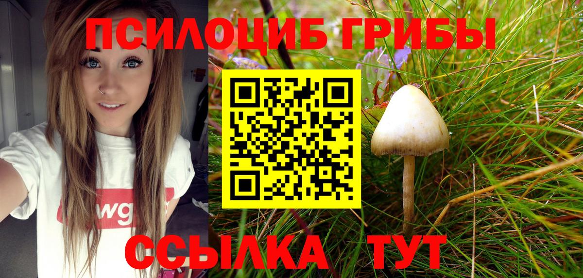 Псилоцибиновые грибы мухоморы  Галлюциногенные грибы MAGIC MUSHROOMS  Вход с VPN  Первоуральск 