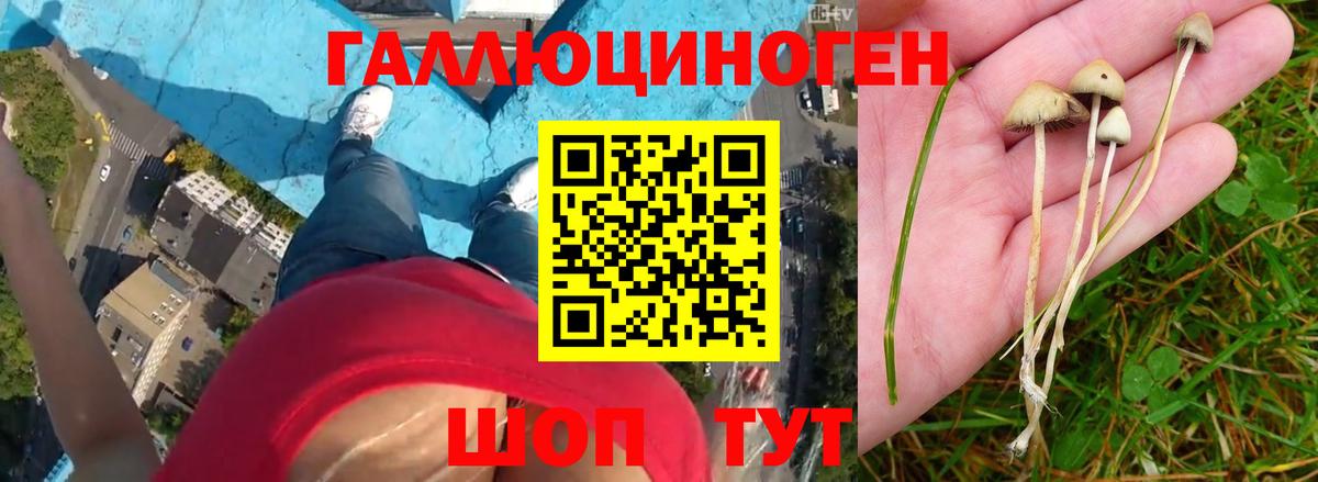 Псилоцибиновые грибы ЛСД Первоуральск